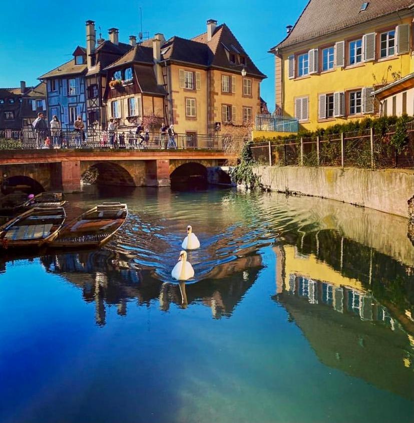 Maison 1708 - Rue Du Canard - City Center Colmar Buitenkant foto