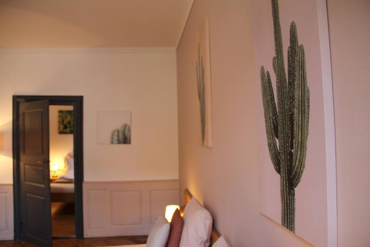 Maison 1708 - Rue Du Canard - City Center Colmar Buitenkant foto